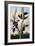 Ivory-billed Woodpeckers, c.1830-31-Joseph Bartholomew Kidd-Framed Giclee Print