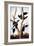 Ivory-Billed Woodpeckers-John James Audubon-Framed Giclee Print