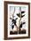 Ivory-Billed Woodpeckers-John James Audubon-Framed Giclee Print