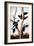 Ivory-Billed Woodpeckers-John James Audubon-Framed Giclee Print