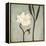 Ivory Bloom-Ivo-Framed Stretched Canvas