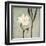 Ivory Bloom-Ivo-Framed Art Print