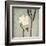 Ivory Bloom-Ivo-Framed Art Print