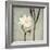 Ivory Bloom-Ivo-Framed Art Print