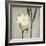 Ivory Bloom-Ivo-Framed Art Print