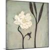 Ivory Bloom-Ivo-Mounted Art Print