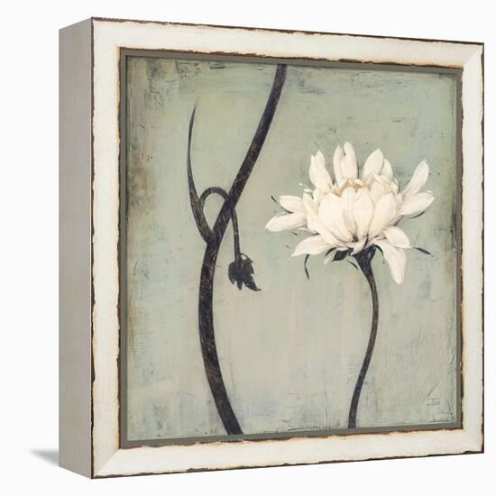 Ivory Blossom-Ivo-Framed Stretched Canvas