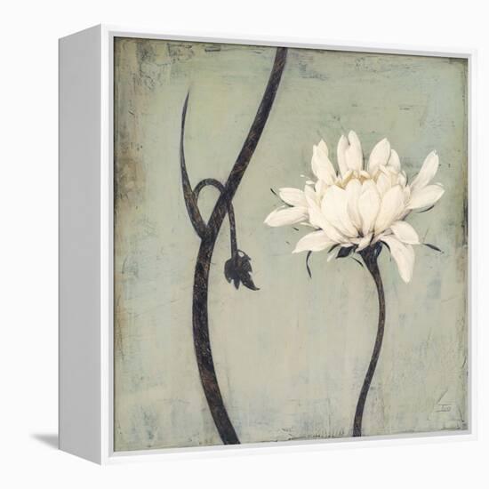 Ivory Blossom-Ivo-Framed Stretched Canvas