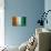 Ivory Coast Flag-budastock-Art Print displayed on a wall