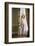 Ivory Drape-Ross Oscar-Framed Photographic Print