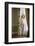 Ivory Drape-Ross Oscar-Framed Photographic Print