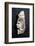 Ivory head found in the palace of Nimrud, Iraq, Phoenician, last third of 8th century BC-Werner Forman-Framed Photographic Print