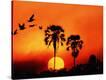 Stretched Canvas Print