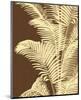 Ivory Palm-Mali Nave-Mounted Art Print