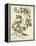 Ivory Peonies III-Besler Basilius-Framed Stretched Canvas