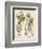 Ivory Peonies IV-Besler Basilius-Framed Art Print