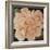 Ivory Peonies-Janet Kruskamp-Framed Premium Giclee Print