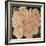 Ivory Peonies-Janet Kruskamp-Framed Premium Giclee Print