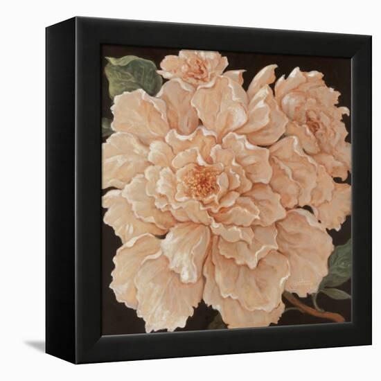 Ivory Peonies-Janet Kruskamp-Framed Stretched Canvas