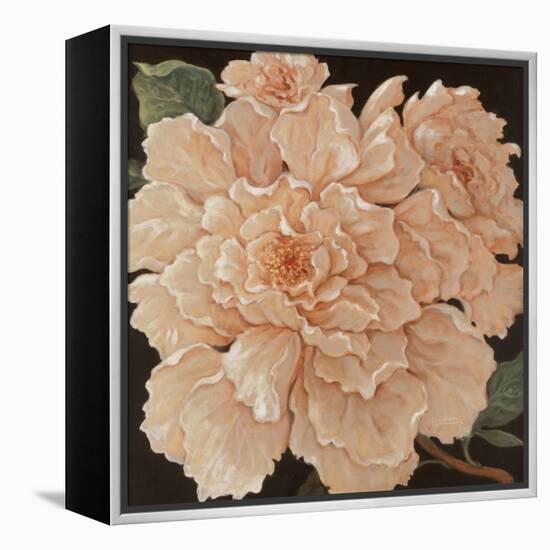 Ivory Peonies-Janet Kruskamp-Framed Stretched Canvas