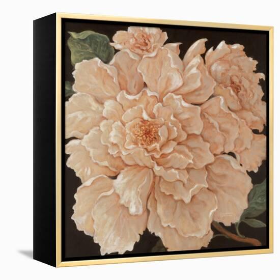 Ivory Peonies-Janet Kruskamp-Framed Stretched Canvas