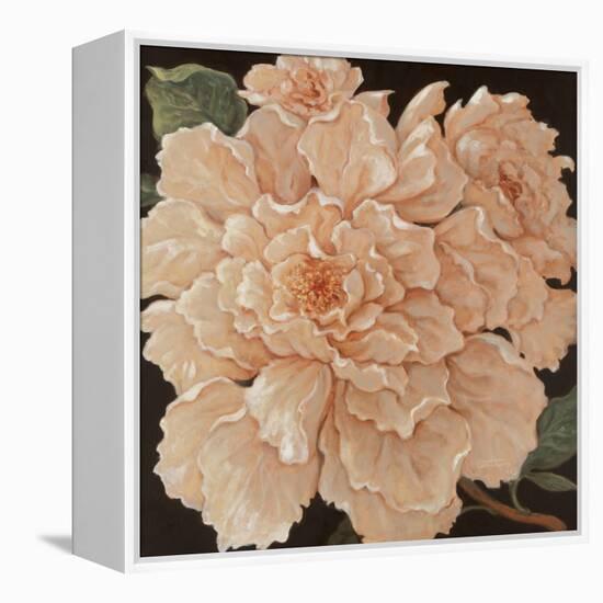 Ivory Peonies-Janet Kruskamp-Framed Stretched Canvas