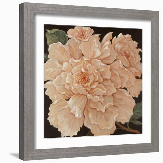 Ivory Peonies-Janet Kruskamp-Framed Art Print