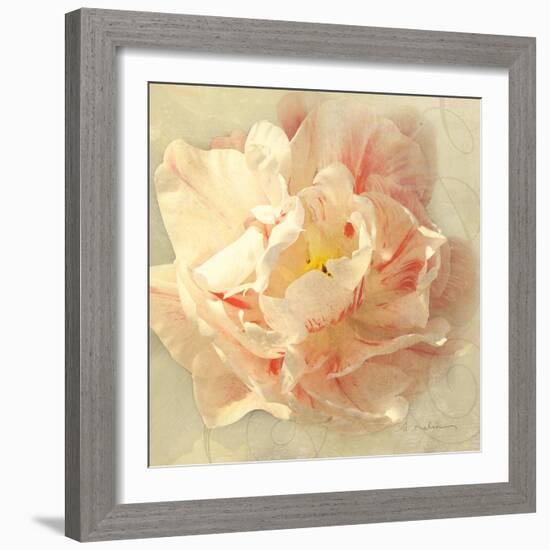 Ivory Romance I-Amy Melious-Framed Art Print