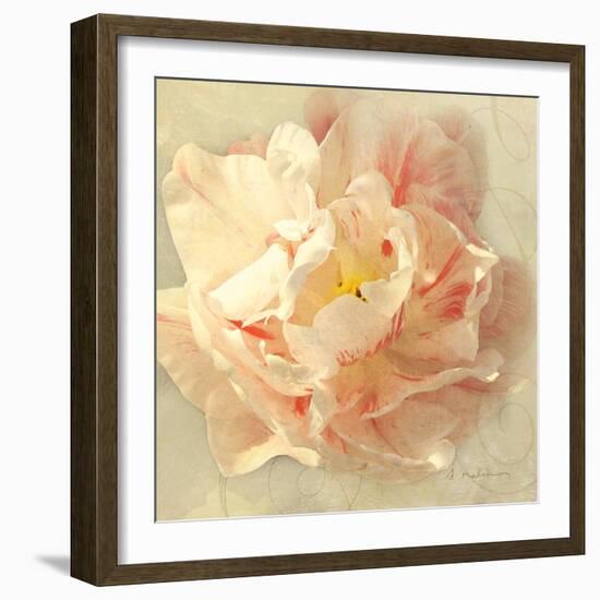 Ivory Romance I-Amy Melious-Framed Art Print