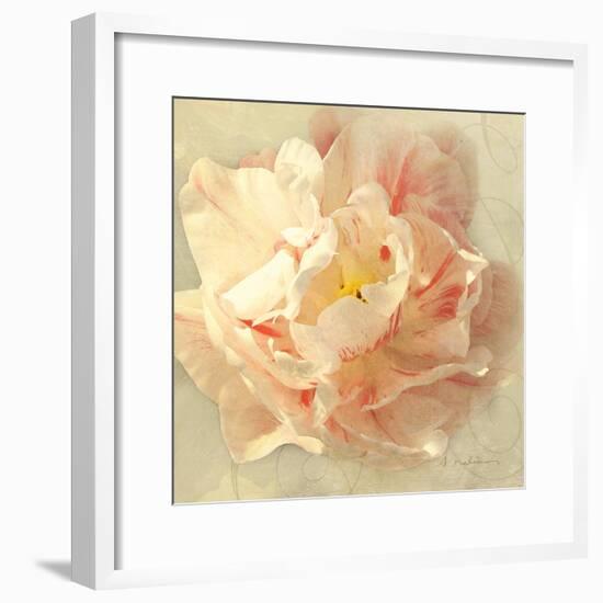 Ivory Romance I-Amy Melious-Framed Art Print