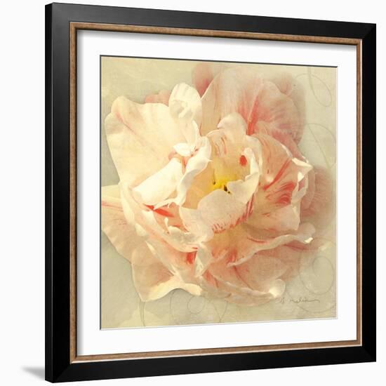 Ivory Romance I-Amy Melious-Framed Art Print