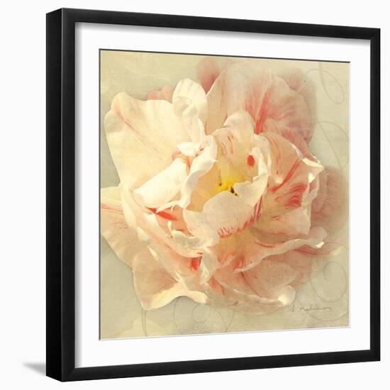 Ivory Romance I-Amy Melious-Framed Art Print