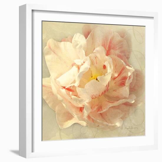 Ivory Romance I-Amy Melious-Framed Art Print