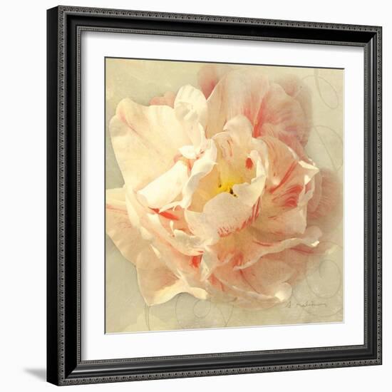 Ivory Romance I-Amy Melious-Framed Art Print