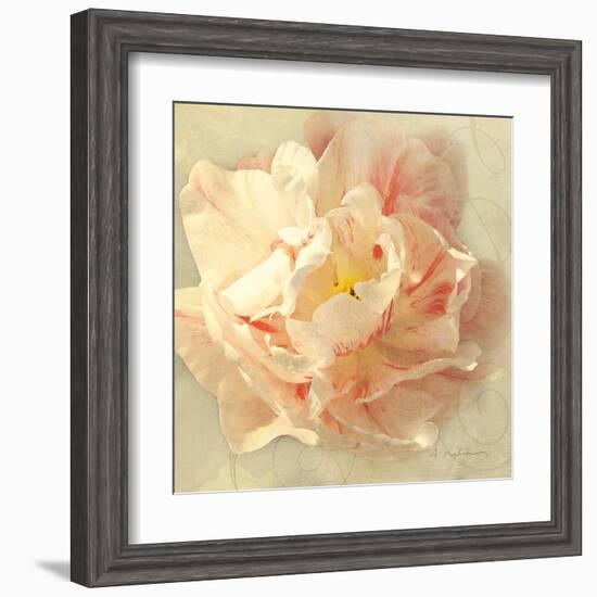 Ivory Romance I-Amy Melious-Framed Art Print