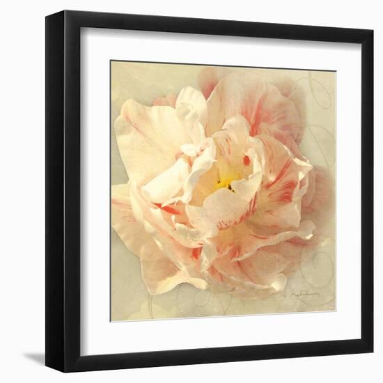 Ivory Romance I-Amy Melious-Framed Art Print