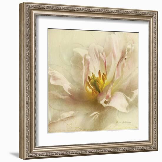 Ivory Romance II-Amy Melious-Framed Art Print