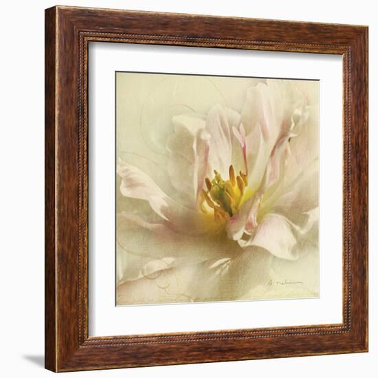 Ivory Romance II-Amy Melious-Framed Art Print