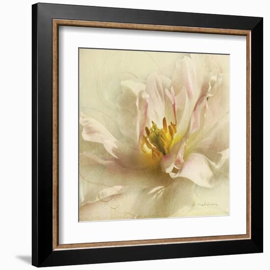 Ivory Romance II-Amy Melious-Framed Art Print