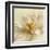 Ivory Romance II-Amy Melious-Framed Art Print