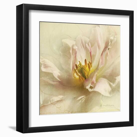 Ivory Romance II-Amy Melious-Framed Art Print