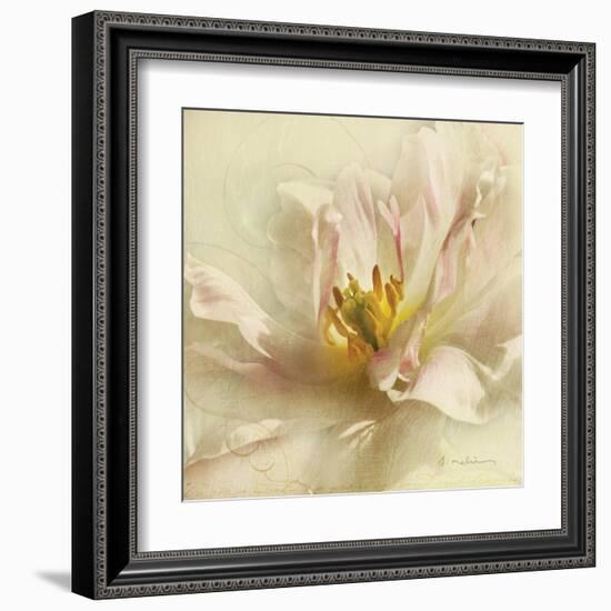 Ivory Romance II-Amy Melious-Framed Art Print