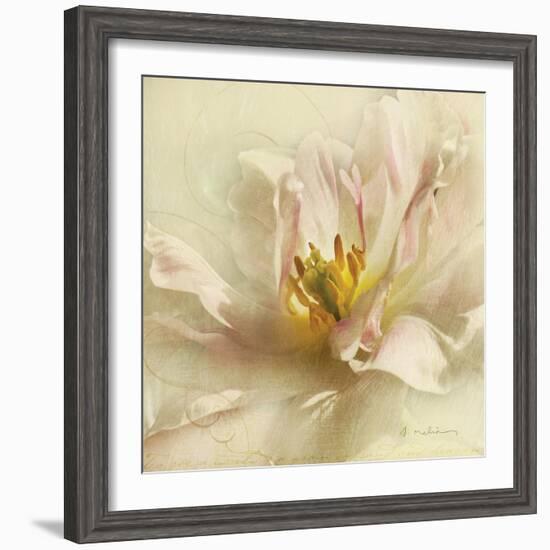 Ivory Romance II-Amy Melious-Framed Art Print