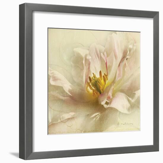 Ivory Romance II-Amy Melious-Framed Art Print