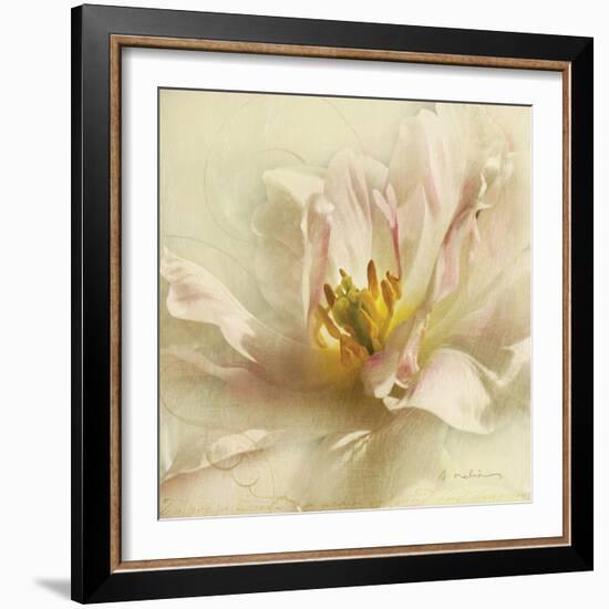 Ivory Romance II-Amy Melious-Framed Art Print