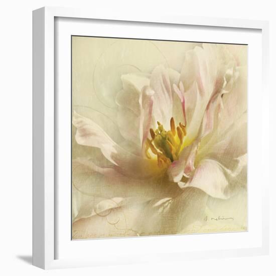 Ivory Romance II-Amy Melious-Framed Art Print