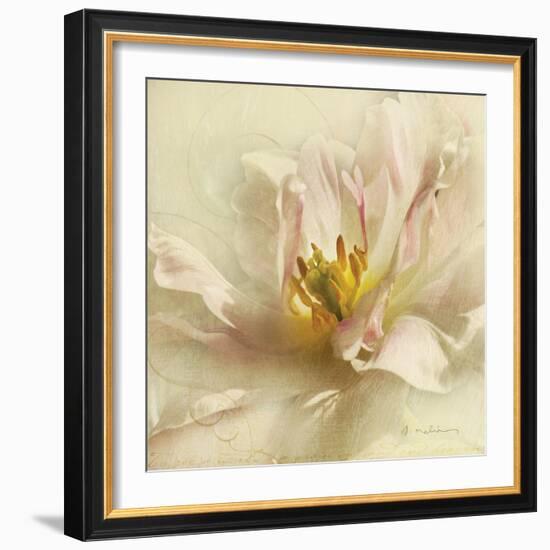 Ivory Romance II-Amy Melious-Framed Art Print