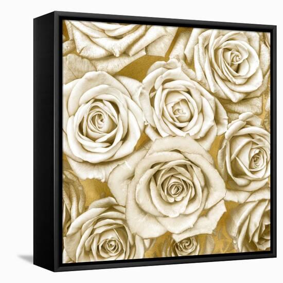 Ivory Roses on Gold-Kate Bennett-Framed Stretched Canvas