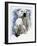 Ivory-Barbara Keith-Framed Giclee Print