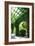 Ivy 1-Alan Hausenflock-Framed Photographic Print